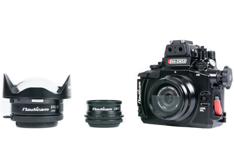 Olympus 14-42mm EZ Lens with the Nauticam WWL-1 and CMC: The All