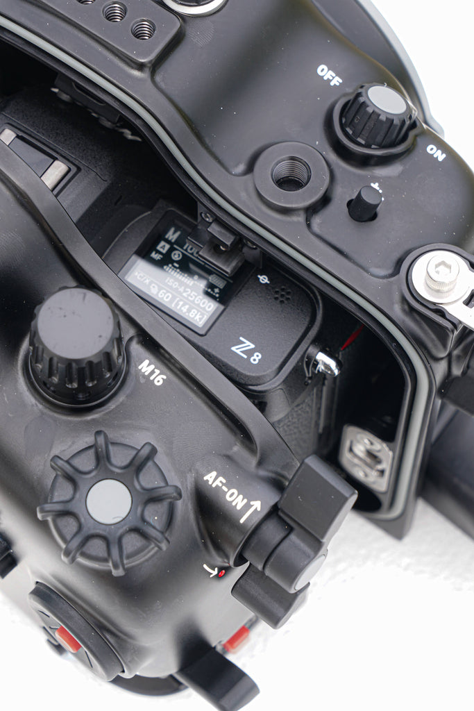 View of Free Gear Consultation – Reef Photo & Video