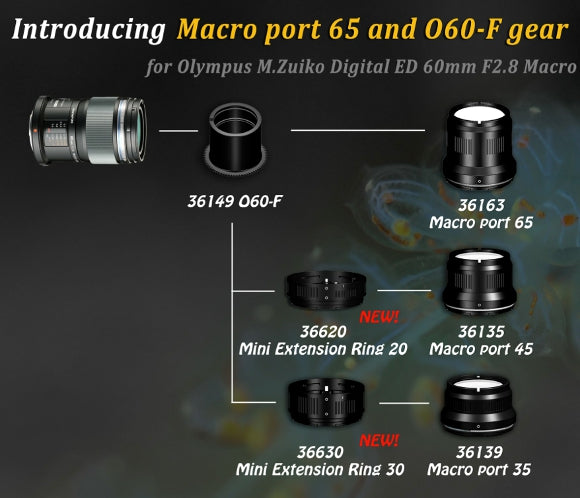 OM System M.Zuiko Digital ED 60mm f/2.8 Macro Lens – Reef Photo