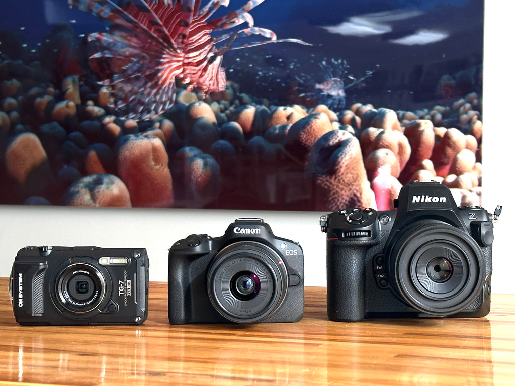 What is the best camera for underwater photography? – Reef Photo & Video