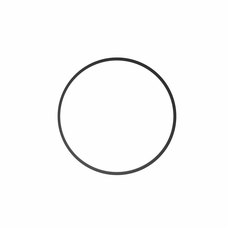 Ikelite O-Ring for Sync Cord Plug